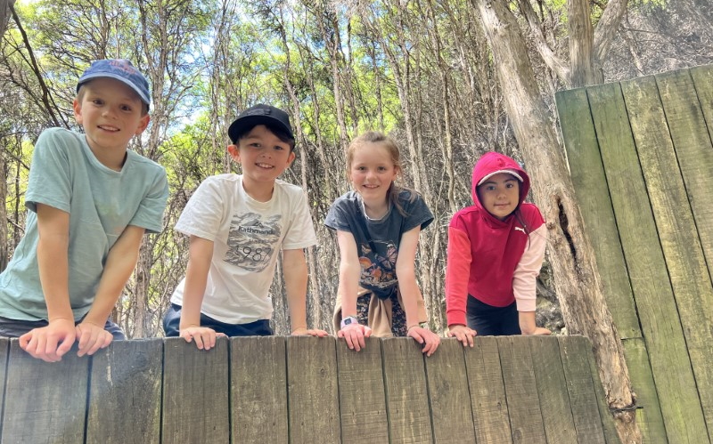 children looking over fence